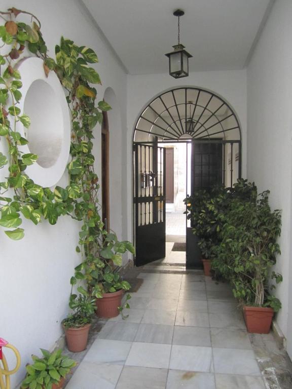 Baobab Hostal El Puerto de Santa Maria Bilik gambar